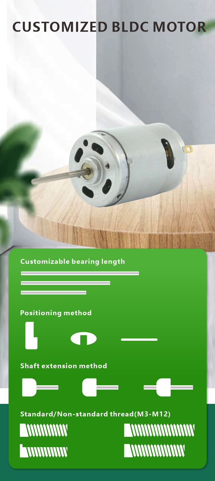 Motor Image 6
