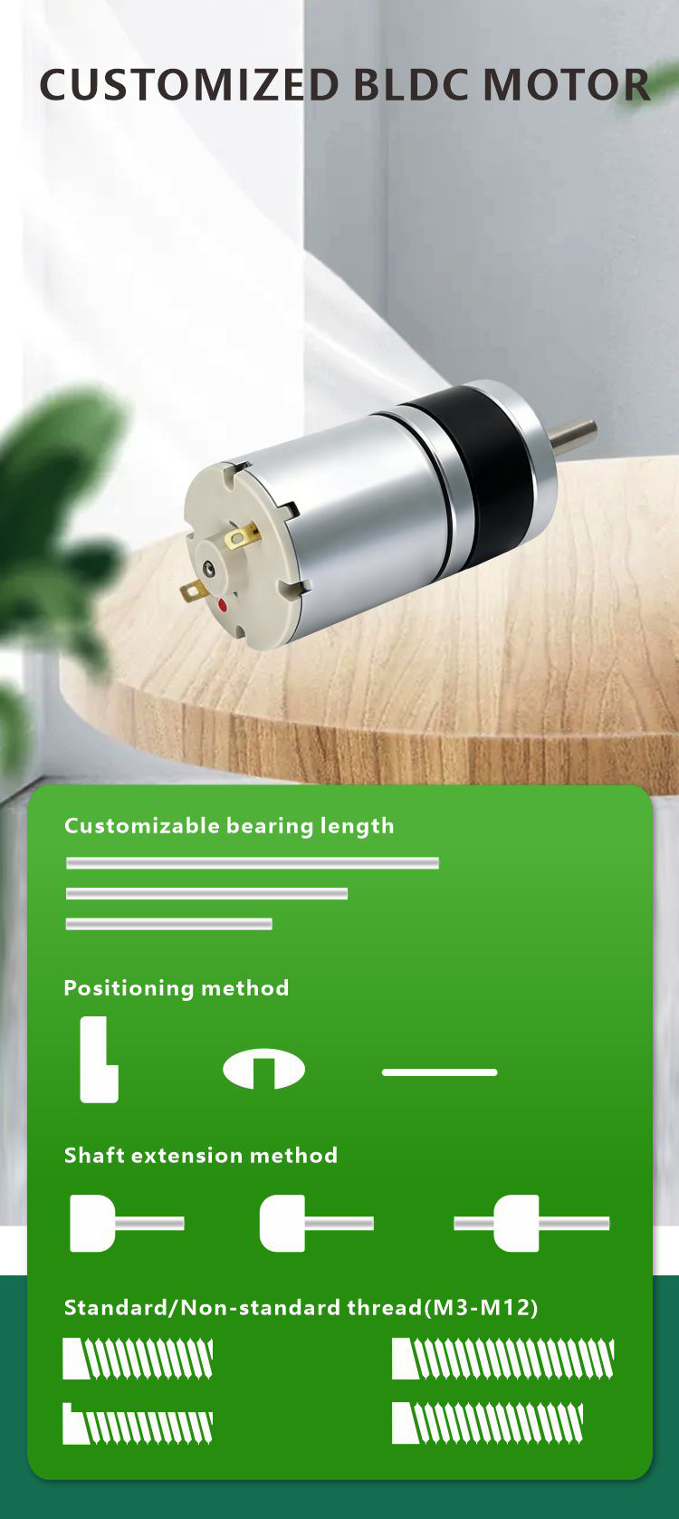 Planetary Gear Motor Feature 7