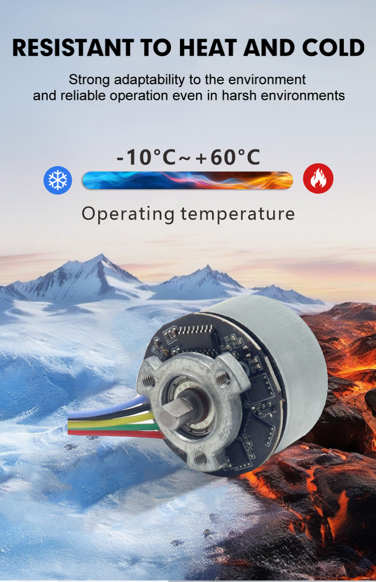 brushless dc motor detail 5