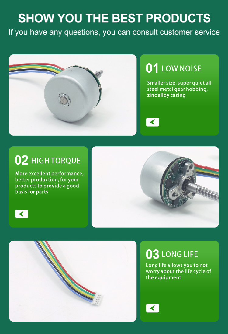 Brushless DC Motor Detail 7