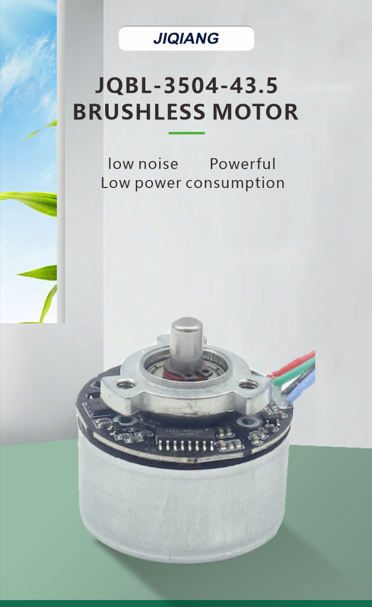 Brushless DC Motor View 1