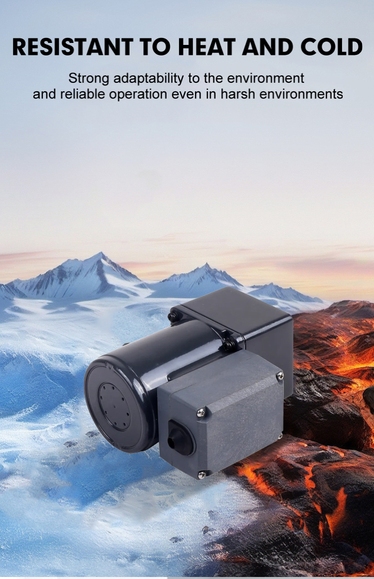 AC Gear Motor Image 5