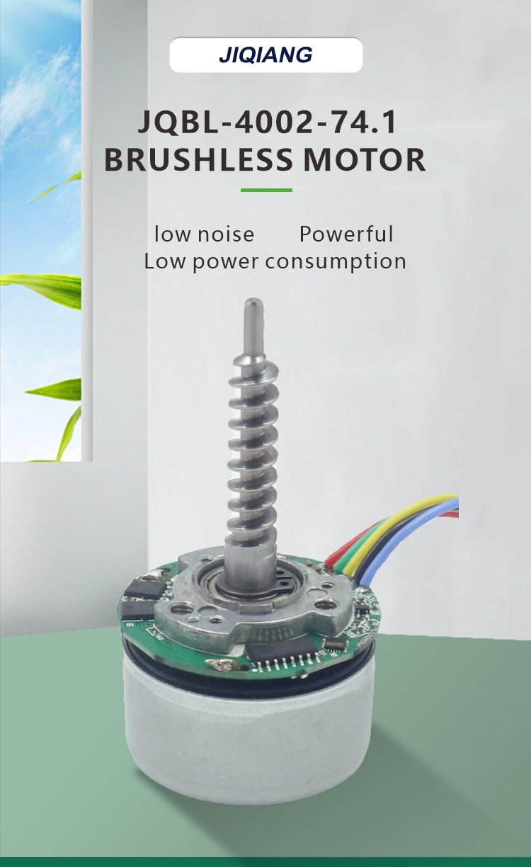 Brushless DC Motor Display 3
