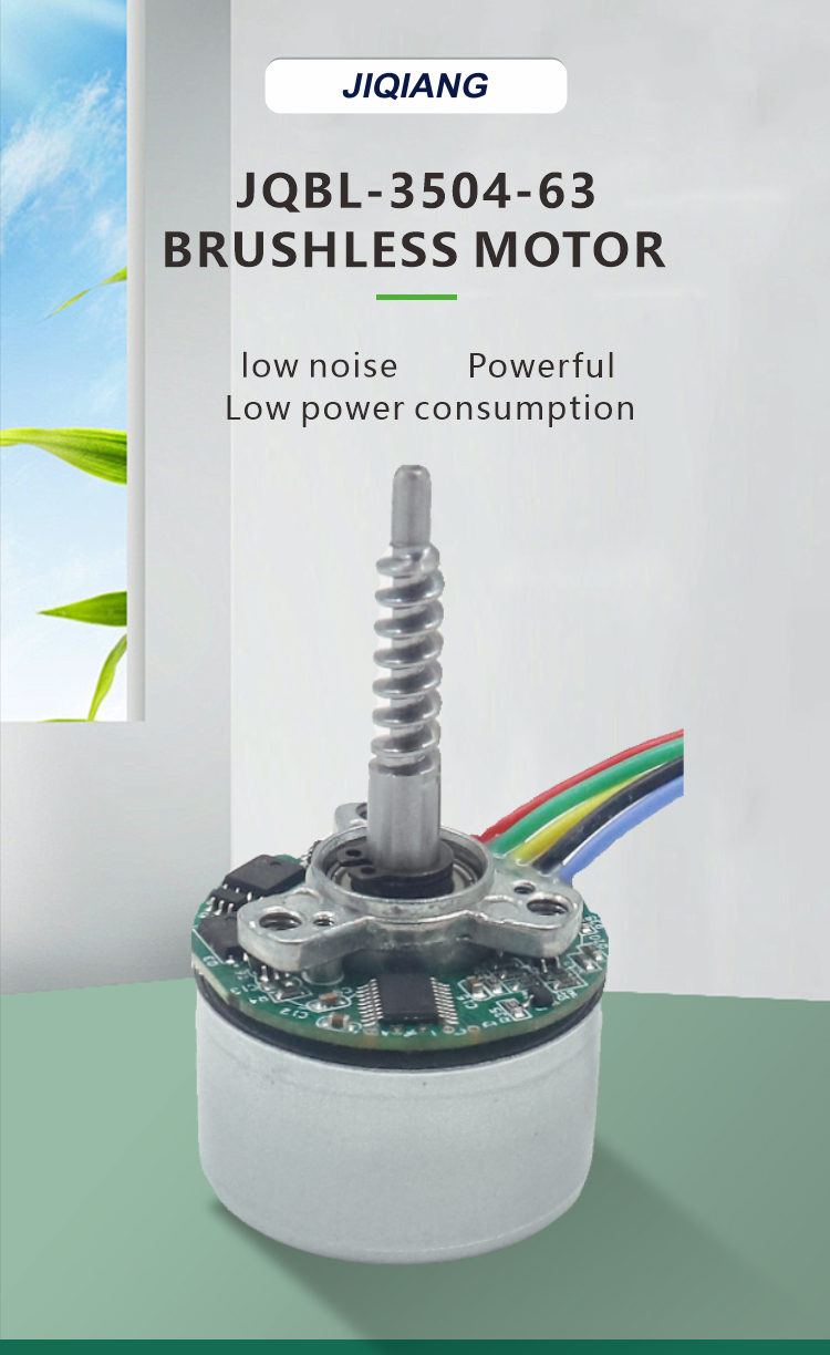 Brushless DC Motor View 3