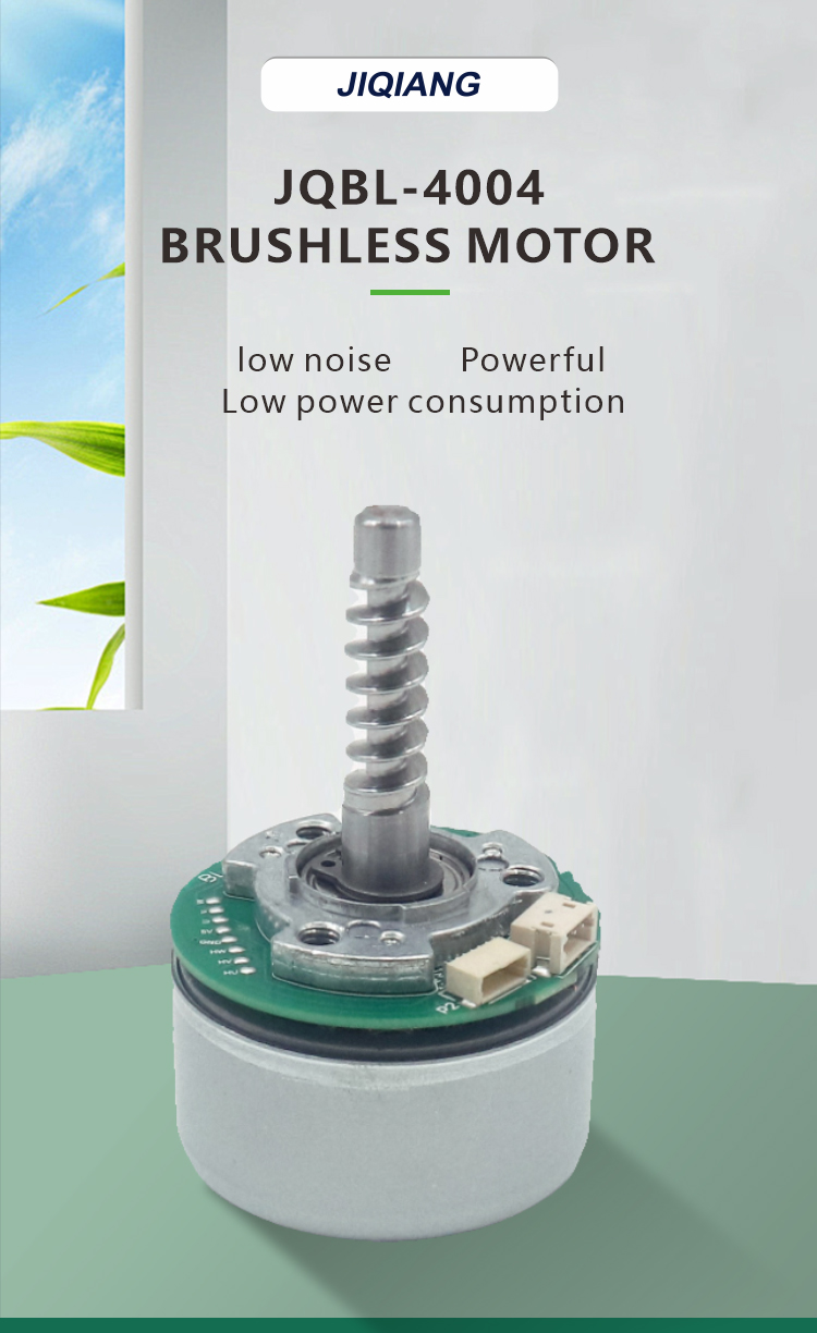 brushless dc motor detail 1