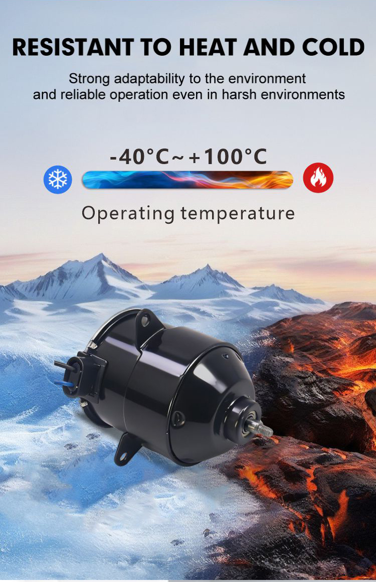 Solar brush DC motor view 5