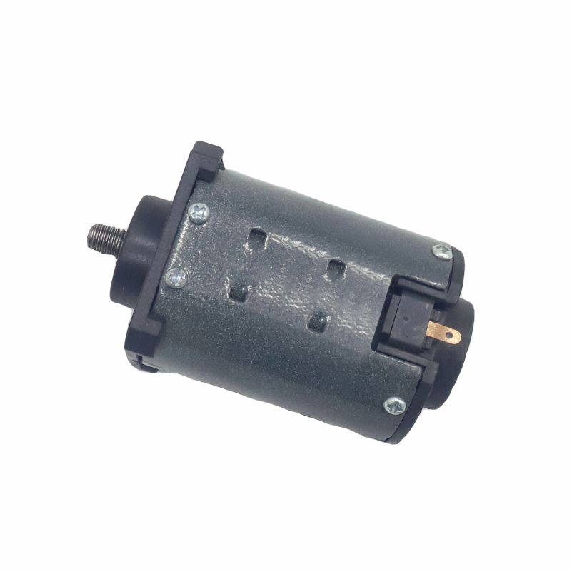 Customizable RPM and Shaft Carbon Brush DC Motor for Specific Requirements