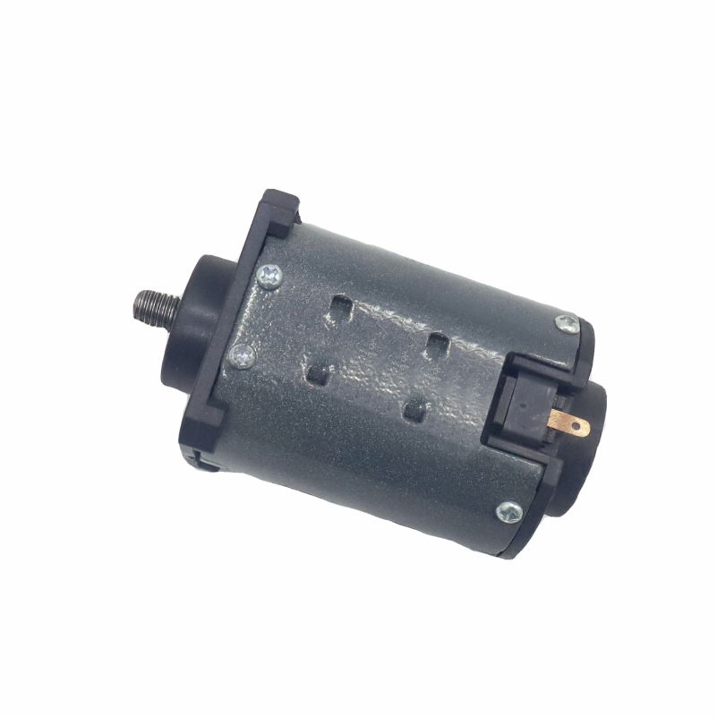 Rotation Speed 3300±300RPM Compact Size High Quality DC Brush Motor for Massage Equipment and Home Gadgets