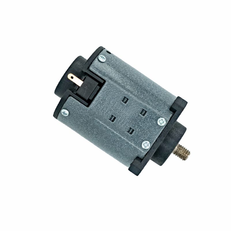 High Torque Low Noise 110v Carbon Brush DC Motor for Massage Equipment and Smart Personal Care Tools
