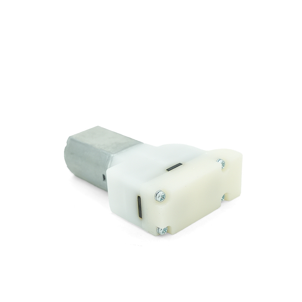 High Quality 3V 6V 12V Low Noise air Pump Brush Dc Motor for Eye protection Instrument