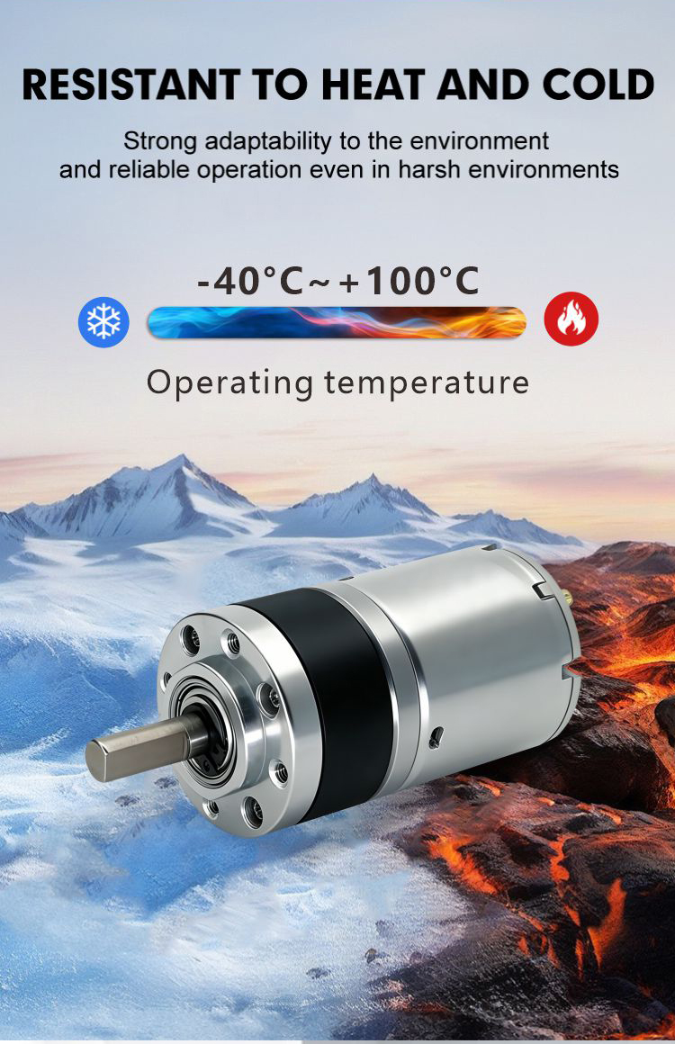 Planetary Gear Motor Feature 6
