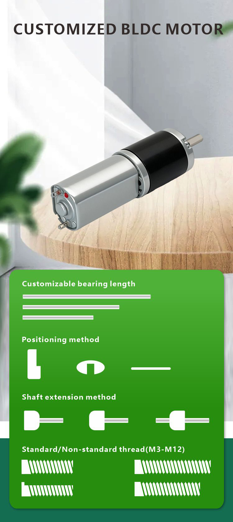 JQPG-22M01 Planetary Gear Motor View 7