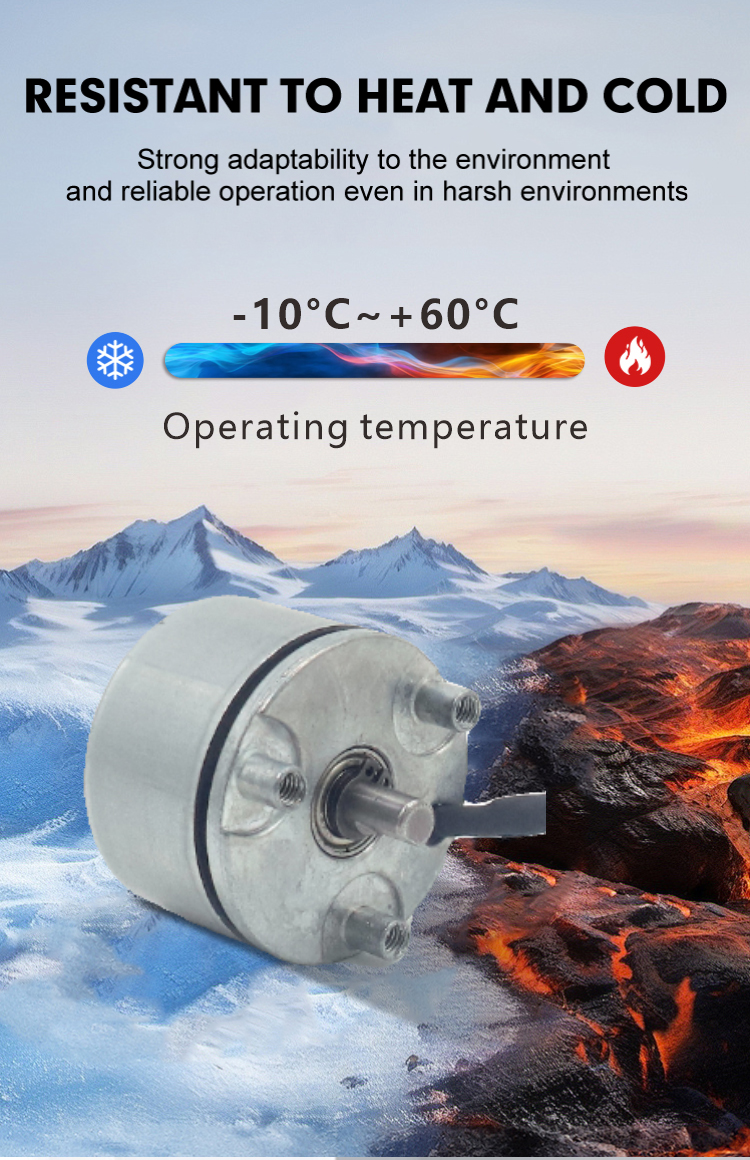 brushless dc motor details