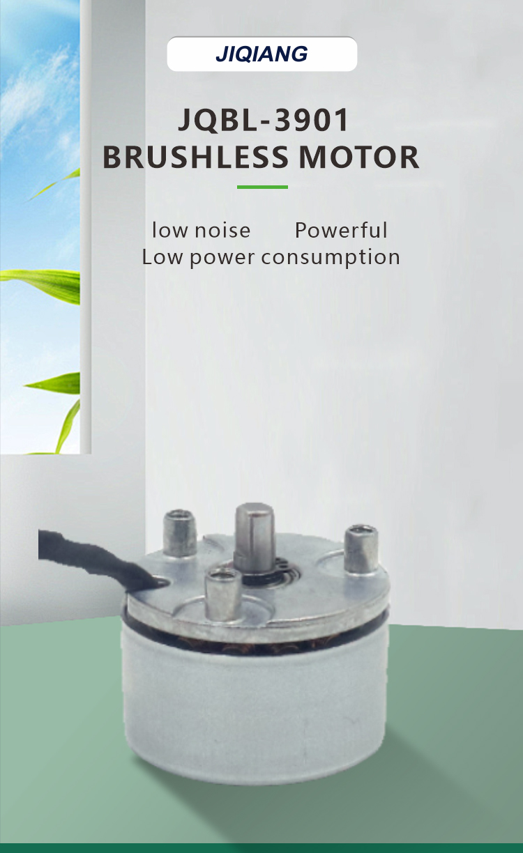 brushless dc motor details