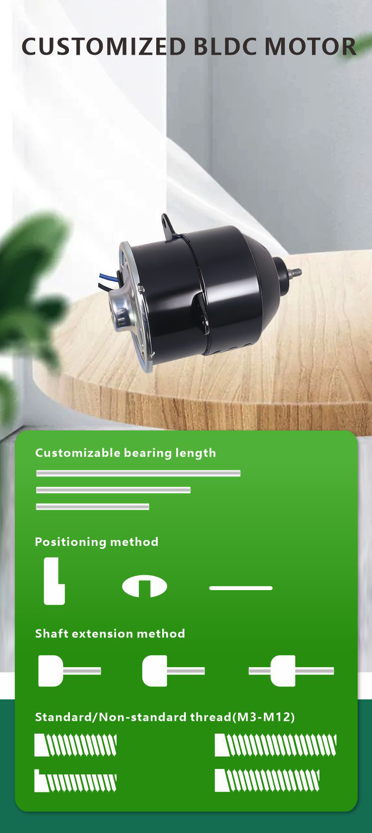 Solar brush DC motor view 6