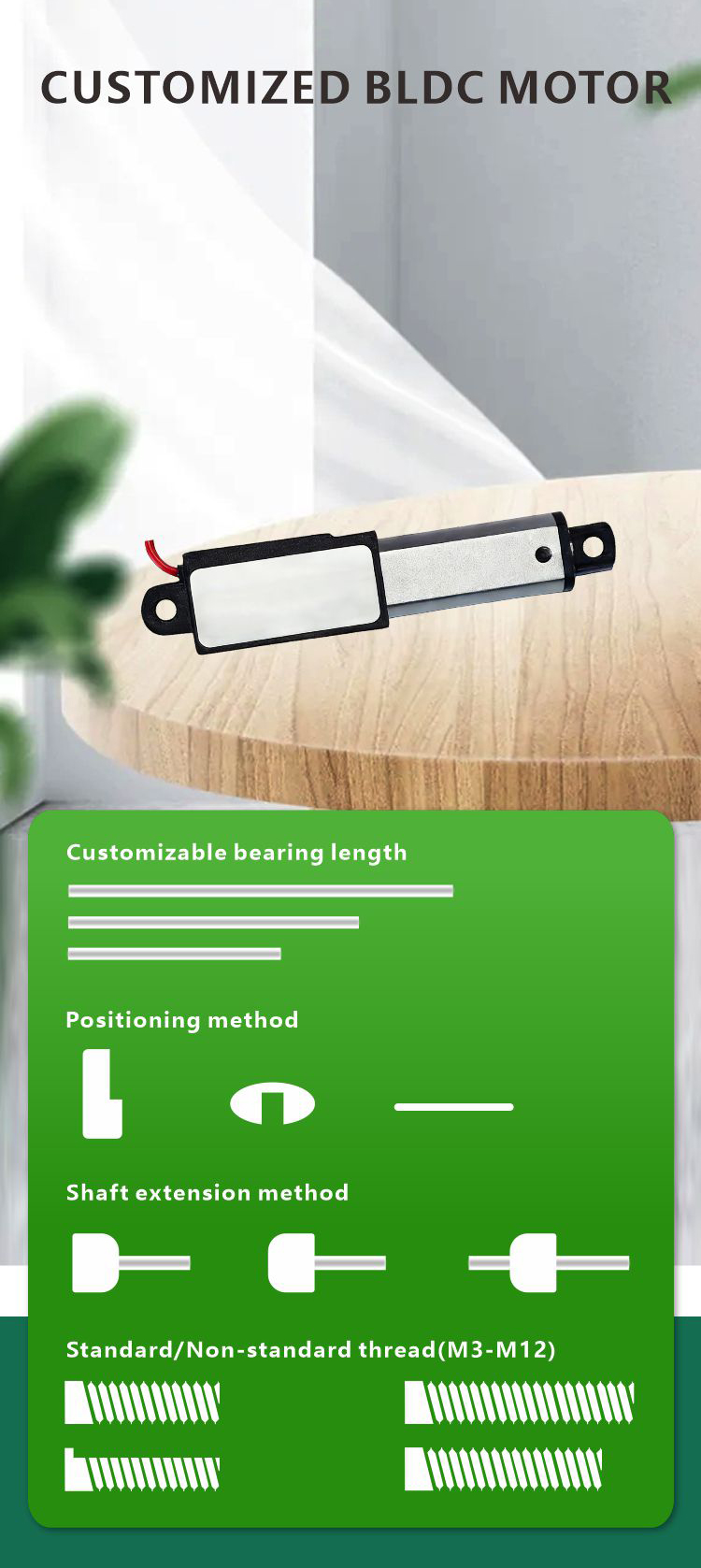 DC Gear Motor Detail View 6
