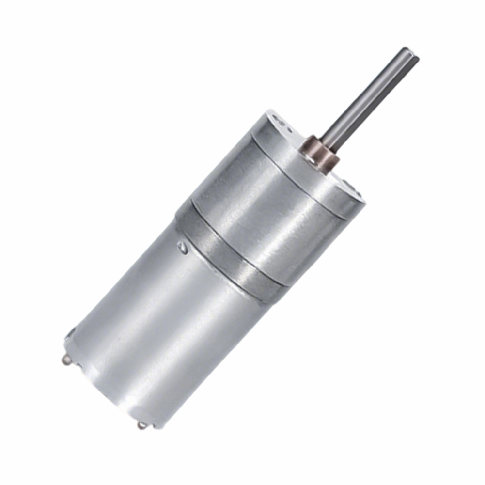 High-Performance 100rpm 12V 24V DC Motor for Smart Home Appliances with Energy Efficiency