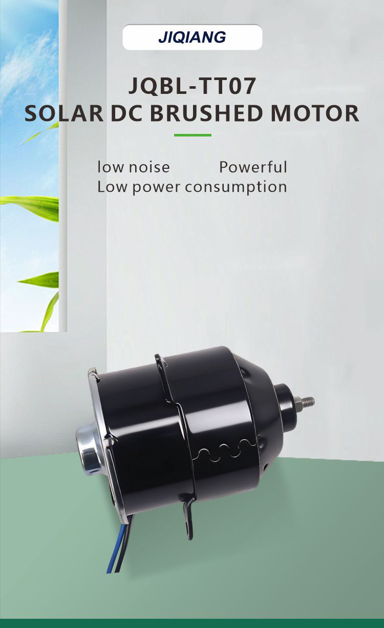 Solar Brush DC Motor Detail 1