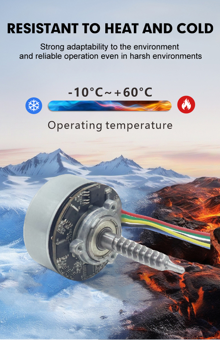 JQBL-4802 Brushless DC Motor Features