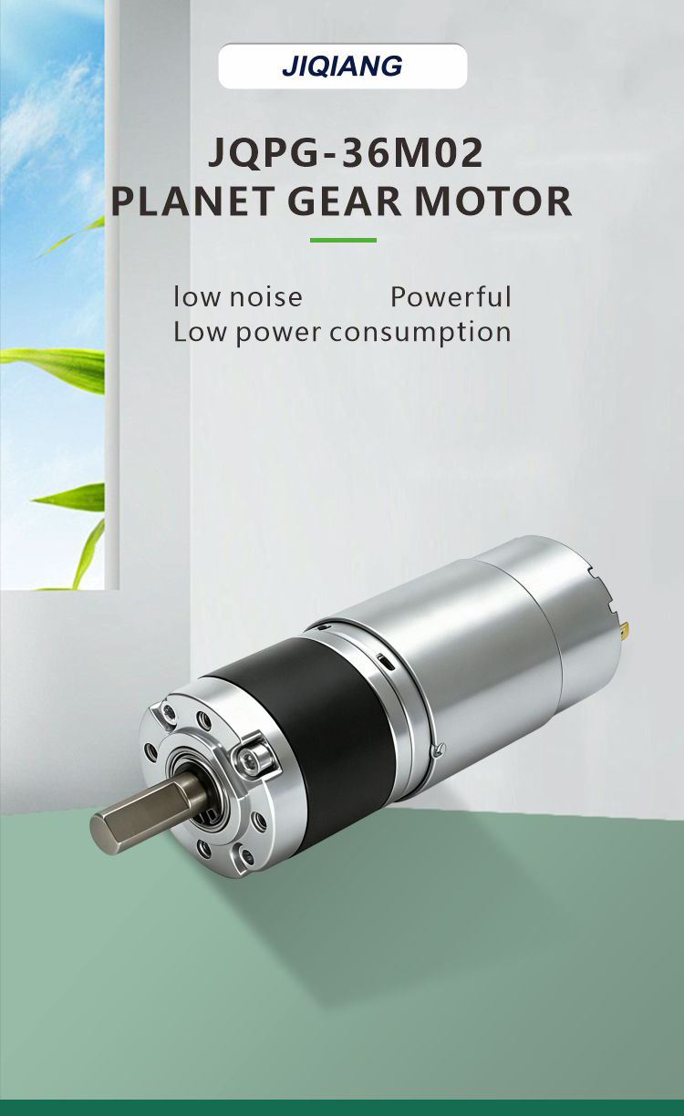 Planetary Gear Motor Detail