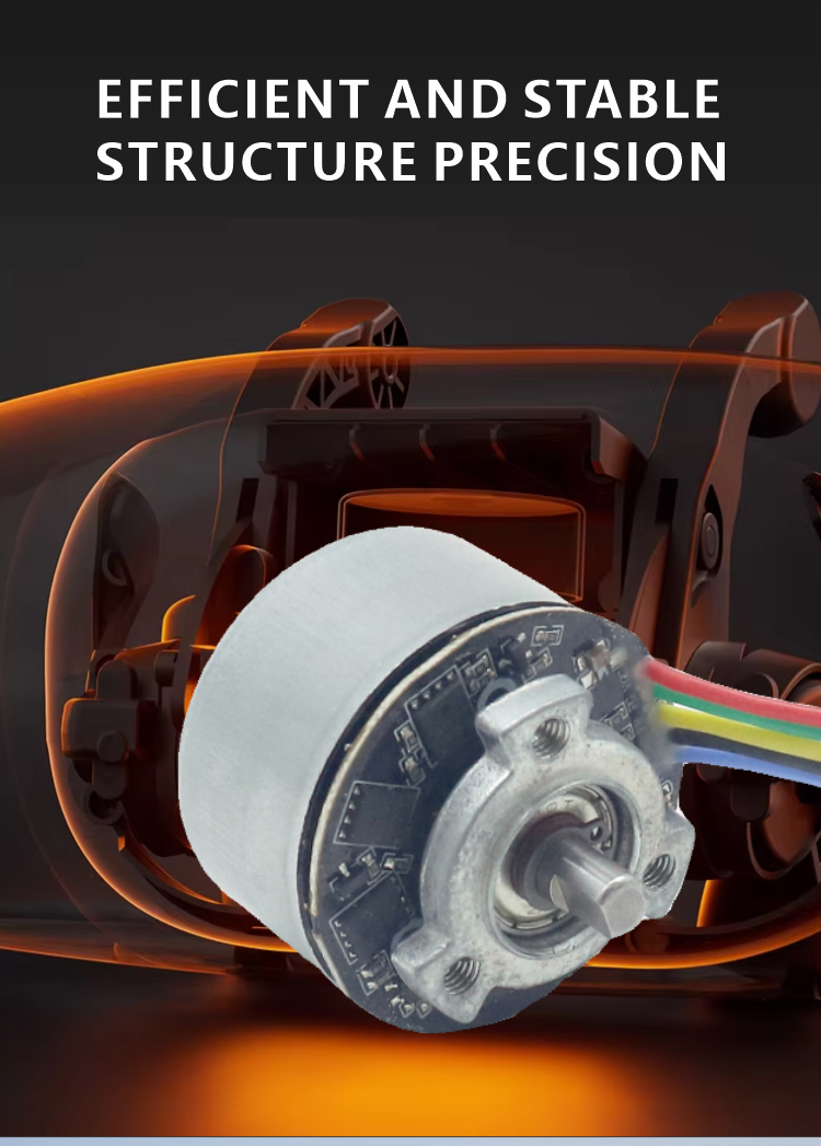 brushless dc motor detail 4