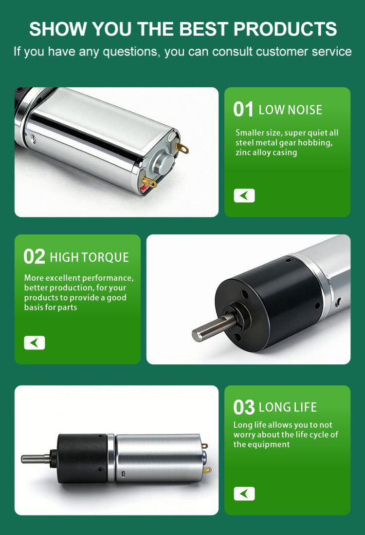 DC Planetary Gear Motor Details 7