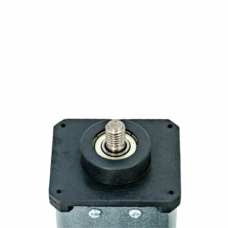 Compact Size High Quality Axial Length 87mm DC Brush Motor for Massage Equipment and Home Gadgets