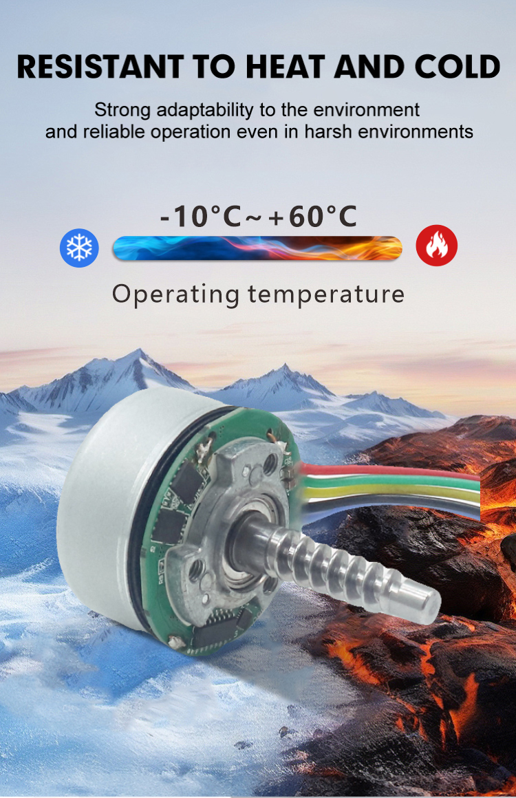 brushless dc motor