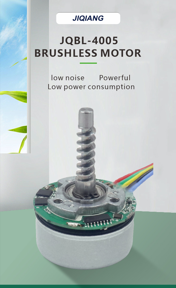 brushless dc motor