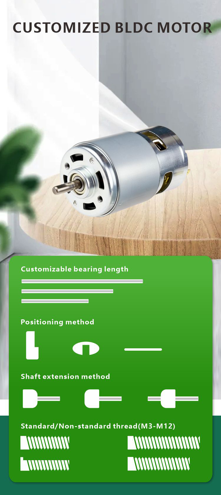 Motor Details 6
