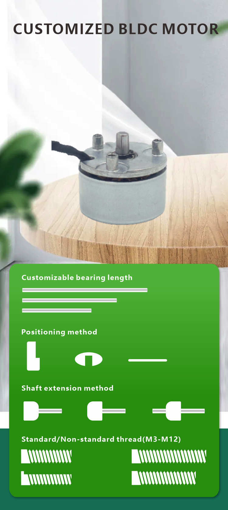 brushless dc motor details