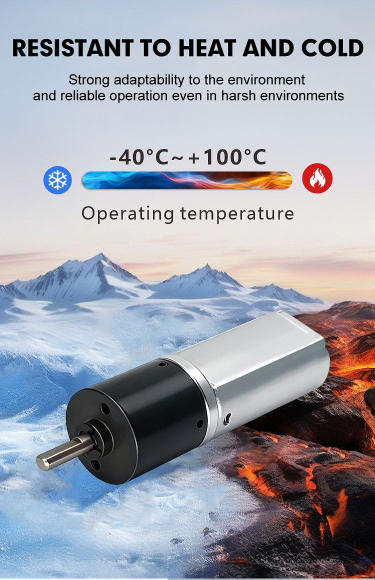 DC Planetary Gear Motor Details 5