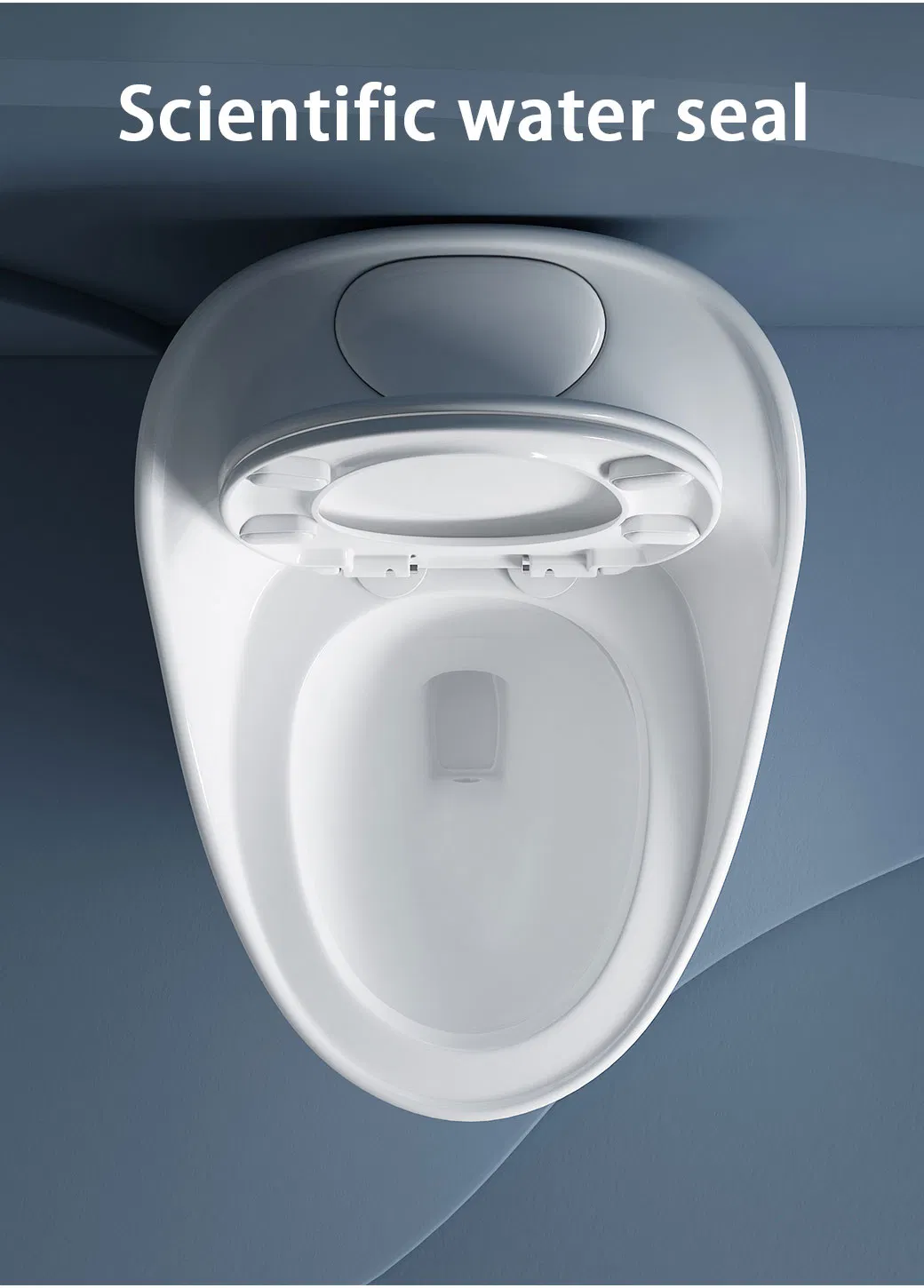 One Piece Toilet View 10