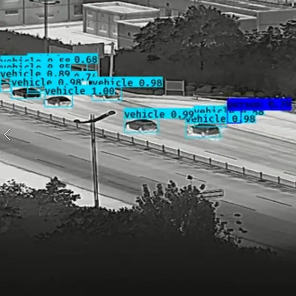 Thermal Camera View 2