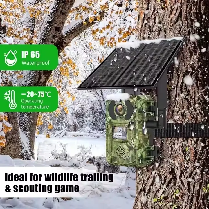 4G Trail Camera View 4