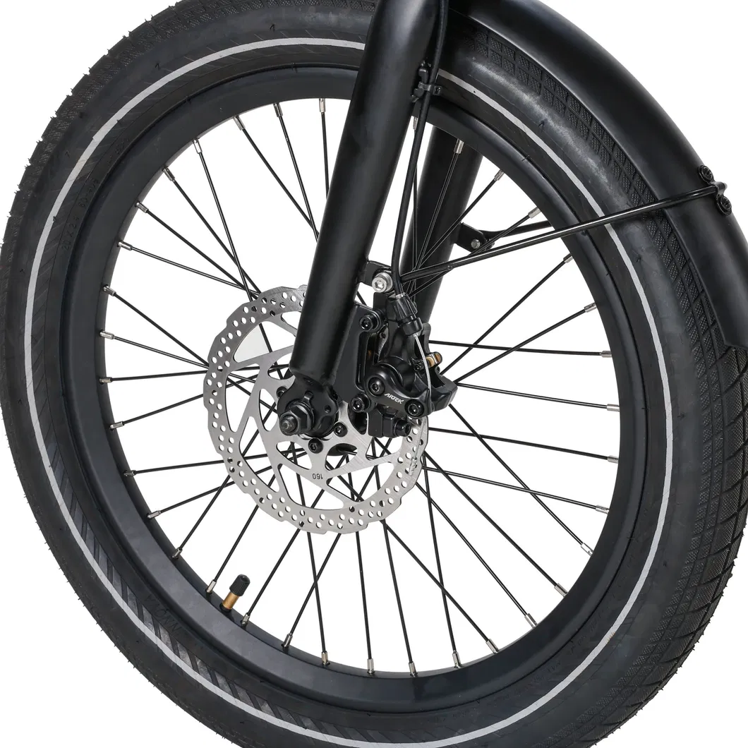 Ebike Detail 6