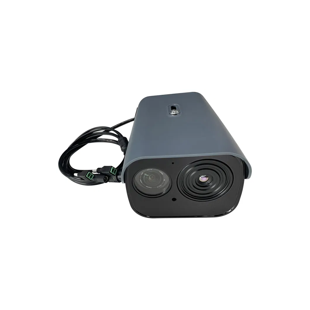 Thermal Network Camera view 1