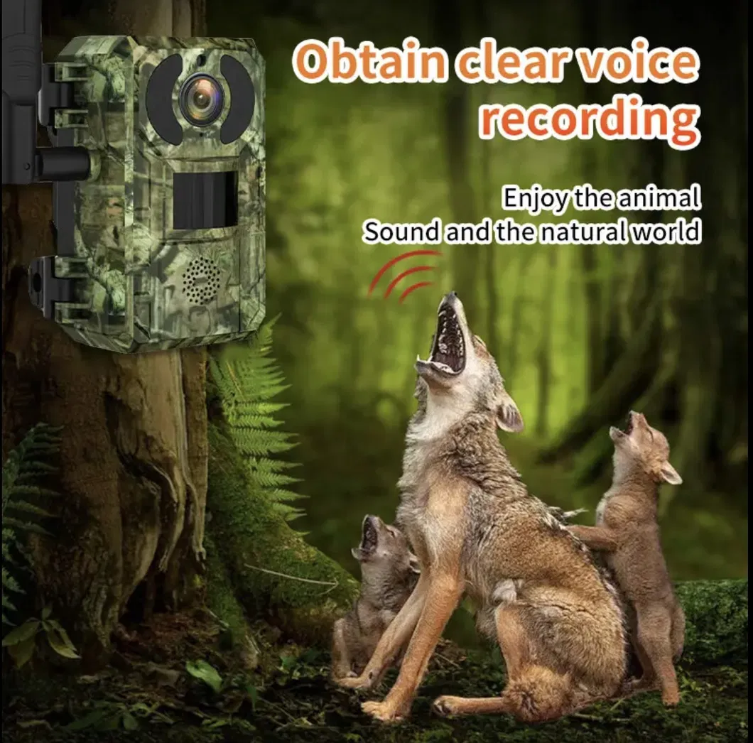 Hunting Trail Camera H10 View 5