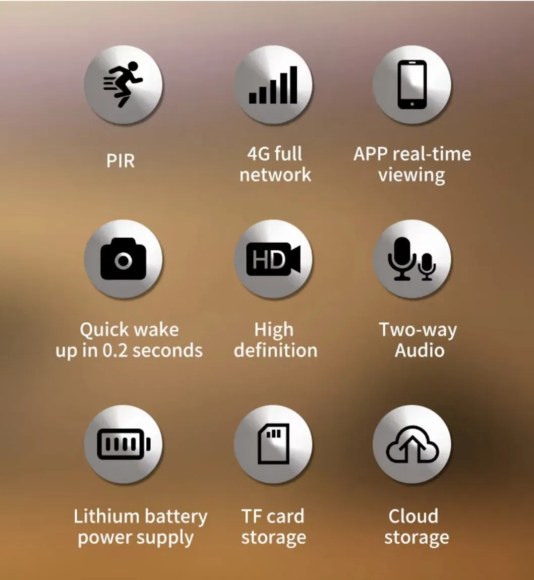 Hunting Trail Camera H10 View 11