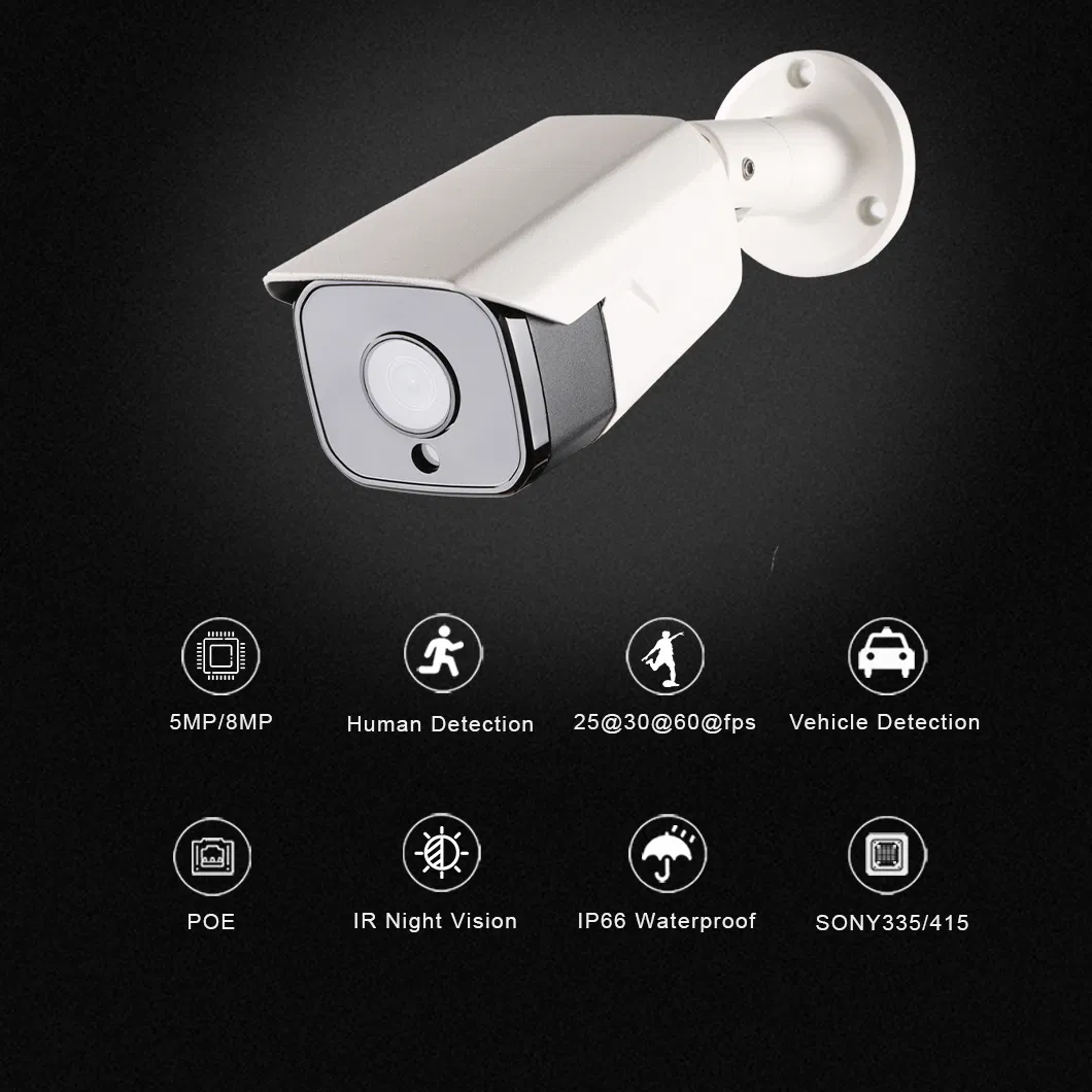 8MP Security Camera View