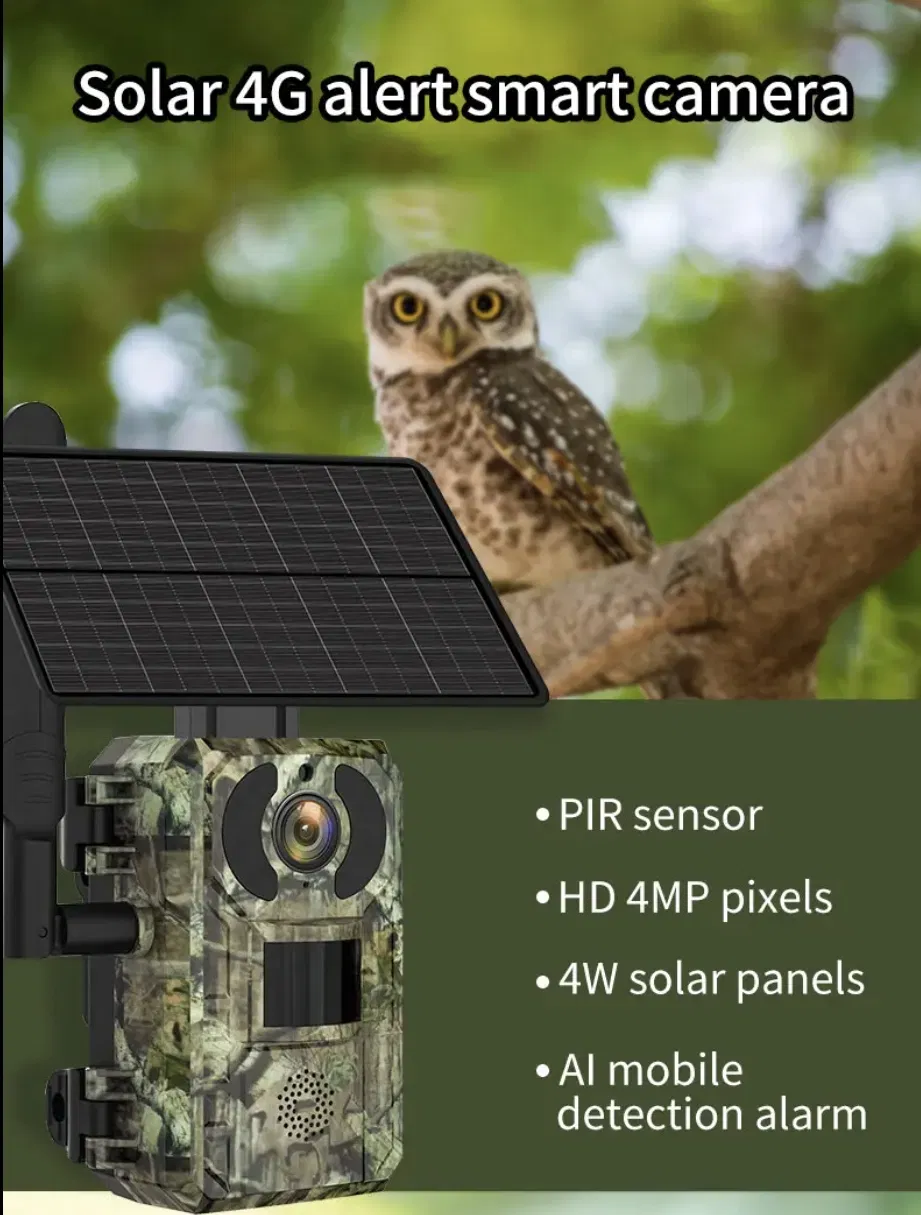 Hunting Trail Camera H10 View 2