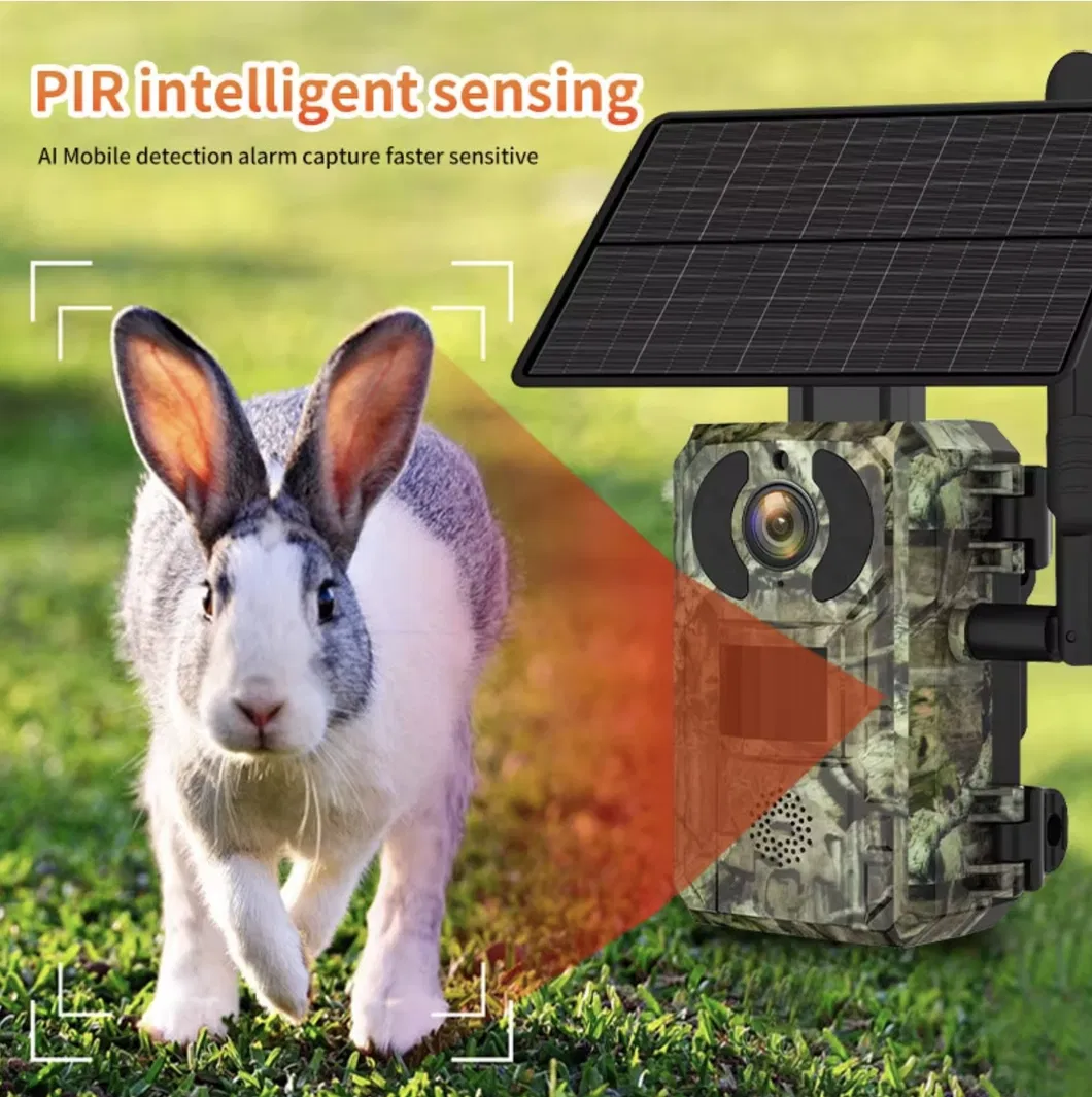 Hunting Trail Camera H10 View 10