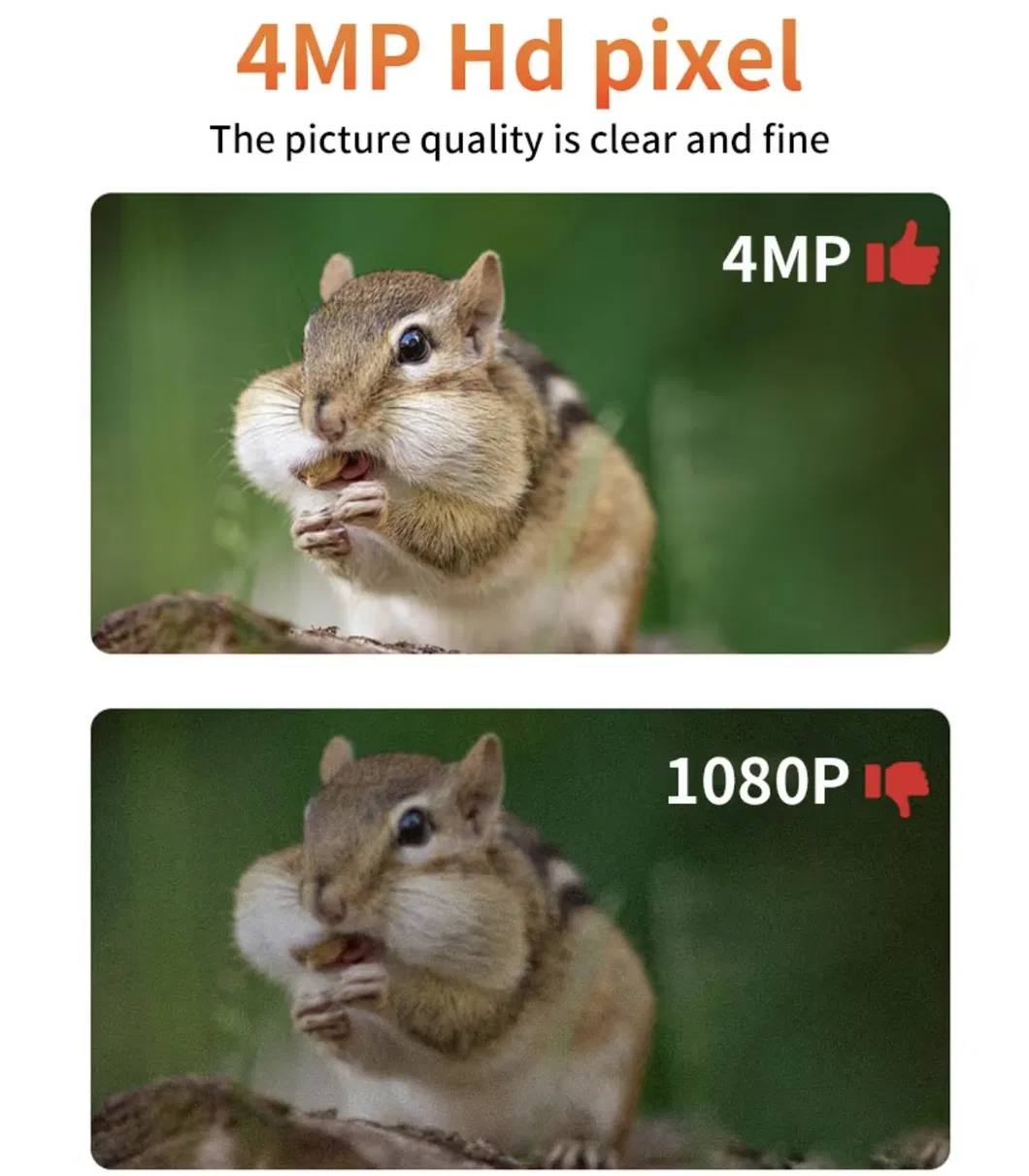 Hunting Trail Camera H10 View 8