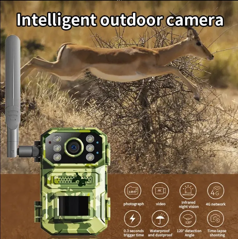 Solar Hunting Camera 1