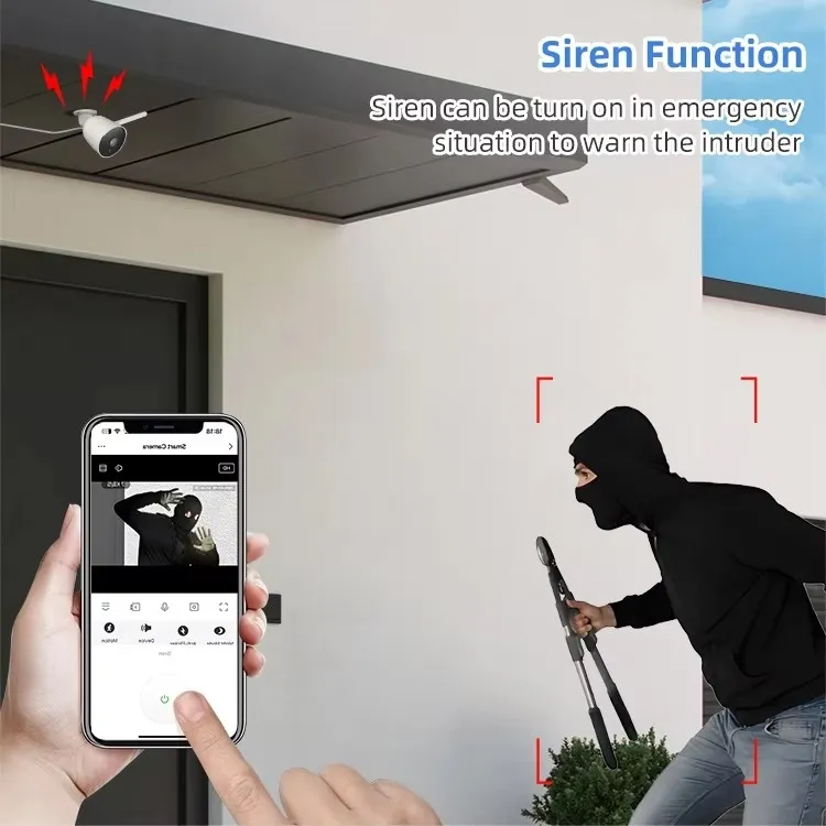 Security Camera Detail