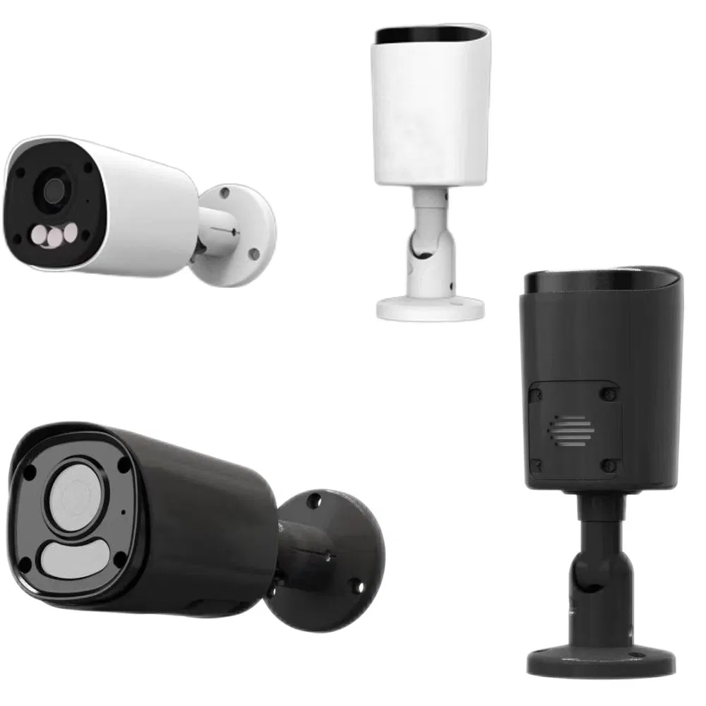 Security Camera Detail 1