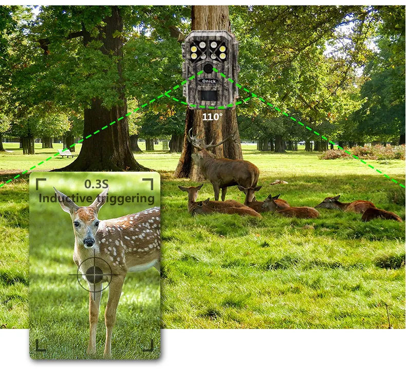 Wildlife Trail Camera 5