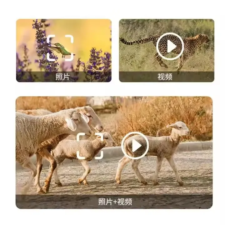 4G Trail Camera View 3