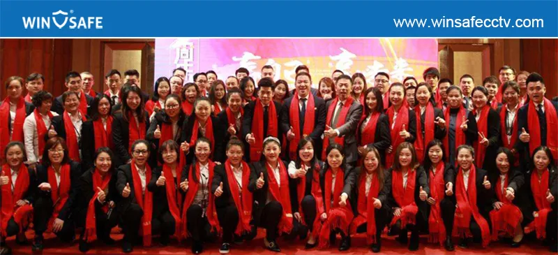 Dome IP Camera View 3