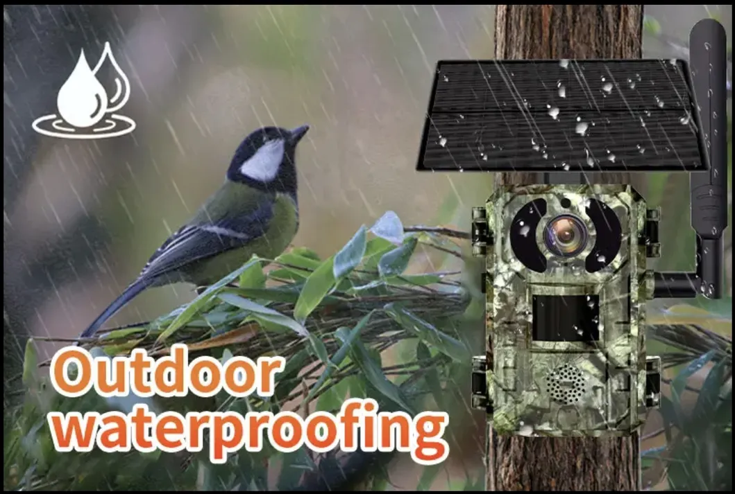 Hunting Trail Camera H10 View 3